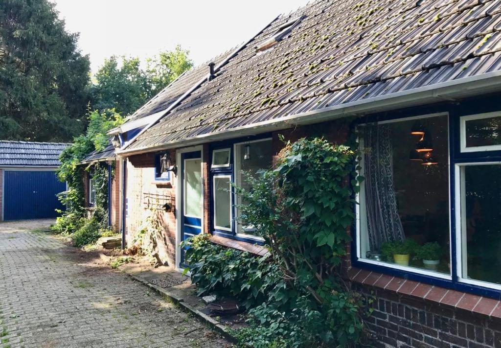 Johanna'S Oostwold  Exterior foto
