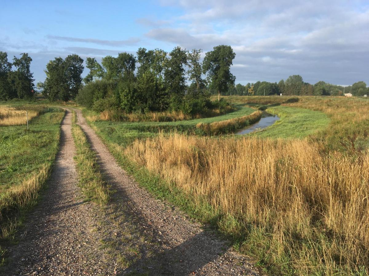Johanna'S Oostwold  Exterior foto