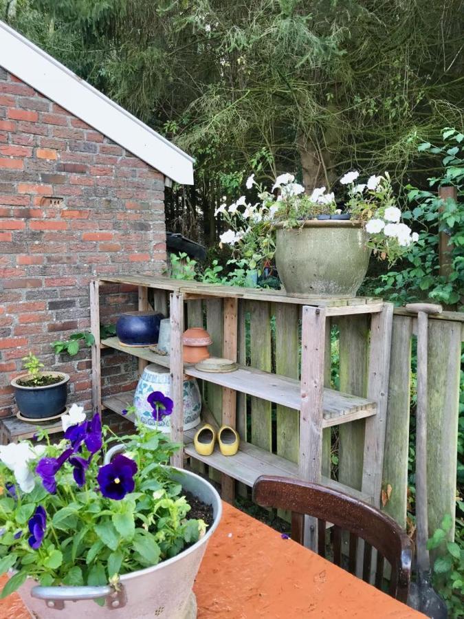 Johanna'S Oostwold  Exterior foto