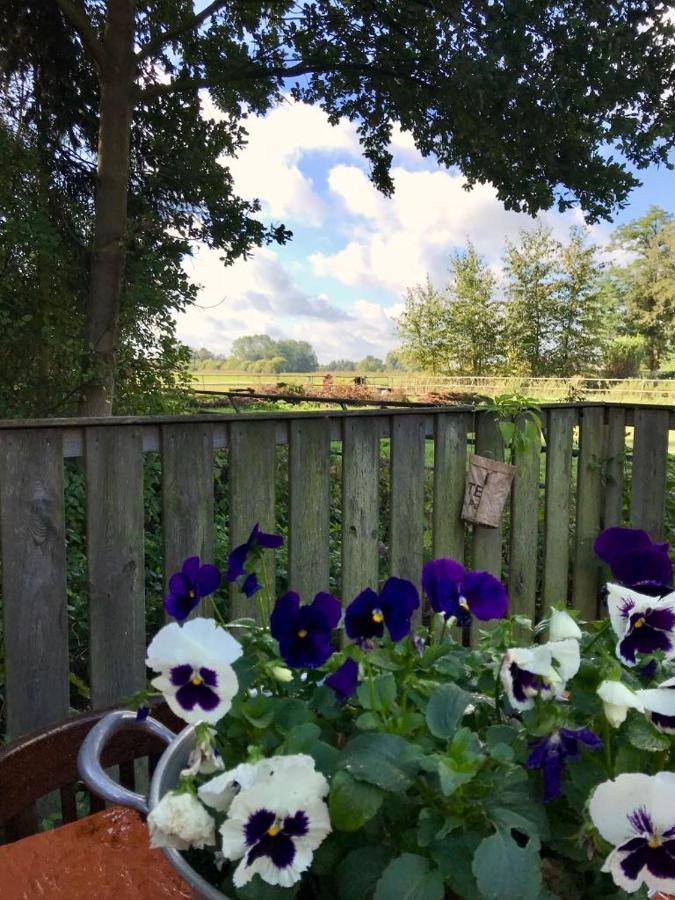 Johanna'S Oostwold  Exterior foto